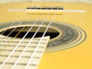 SH1927-spruce-white-ovang-yellow-8-B
