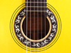 SH1927-spruce-trdbrdg-ovang-yellow-24-B