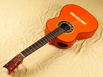 SH1927-spruce-whitebrdg-ovang-fraction-orange-14-B